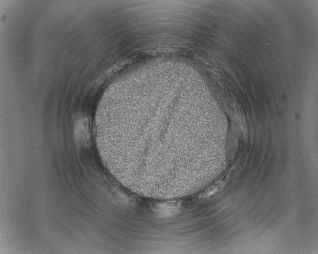 X0000067910232200605111951