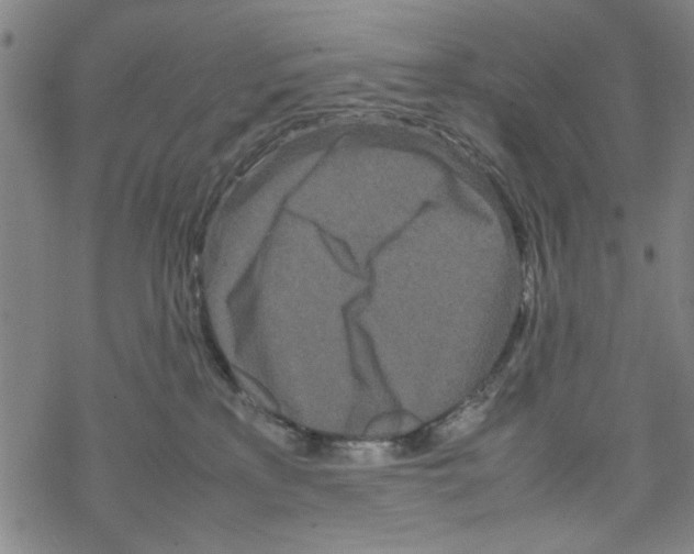 X0000067910233200605111951