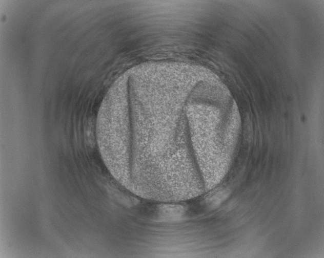 X0000067910234200605111951