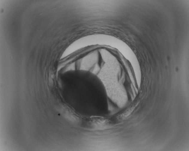 X0000067910235200605111951