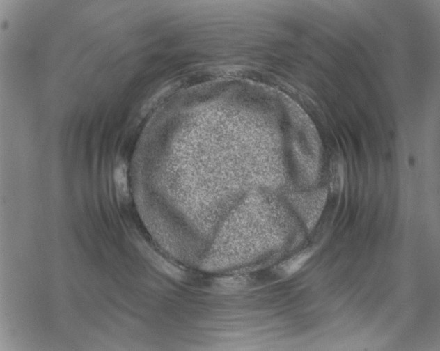 X0000067910238200605111950