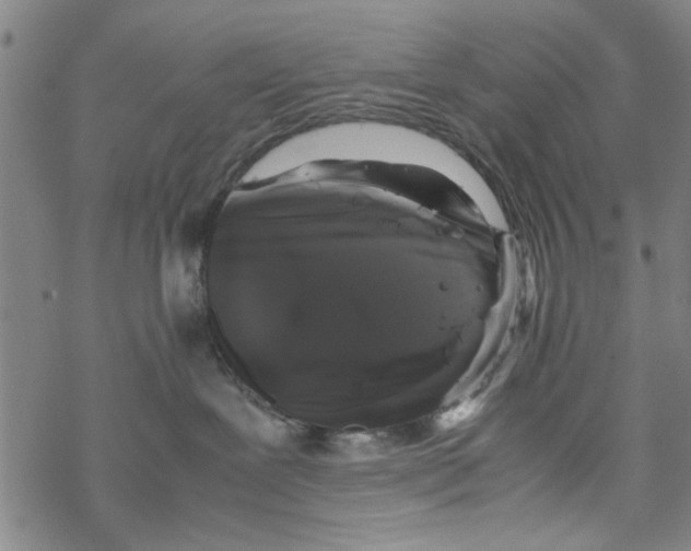 X0000067910239200605111950