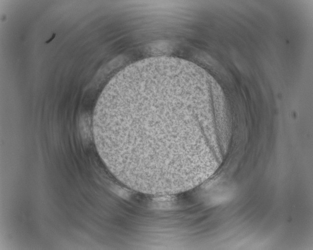 X0000067910240200605111950