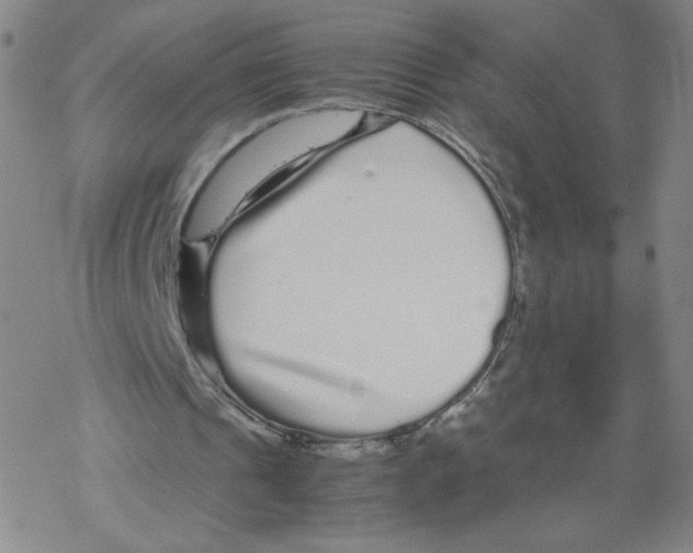 X0000067910241200605111950