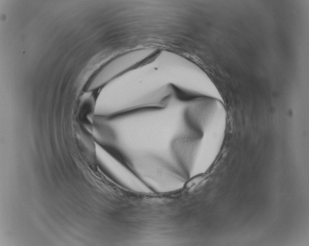 X0000067910242200605111950