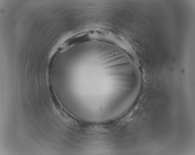 X0000067910244200605111950