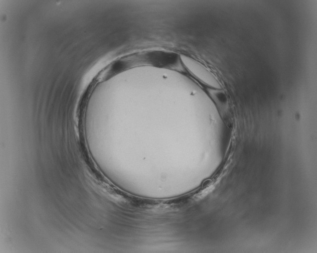 X0000067910246200605111950