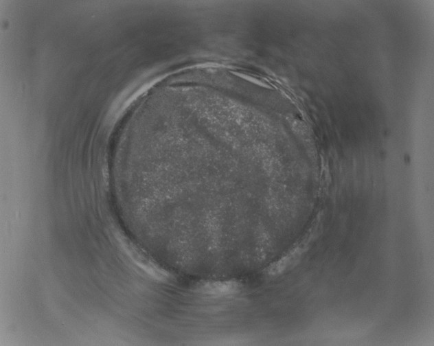 X0000067910247200605111950