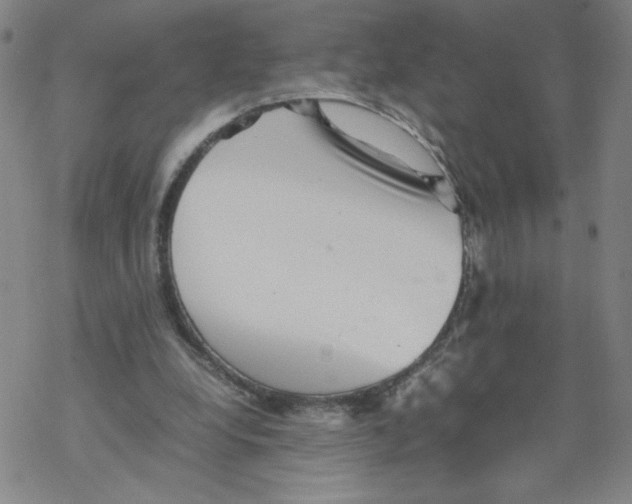 X0000067910248200605111950