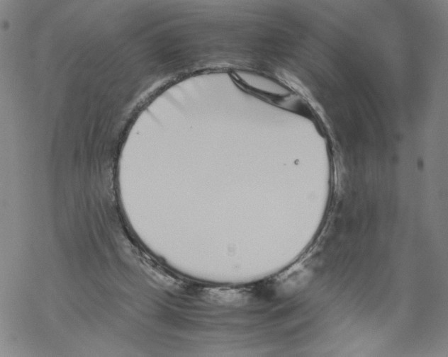 X0000067910249200605111950