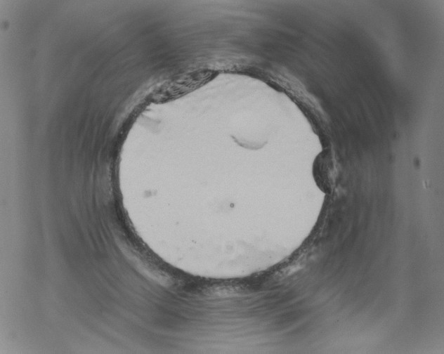 X0000067910250200605111950