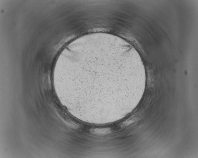 X0000067910251200605111950