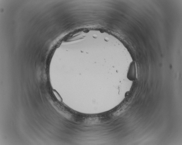 X0000067910252200605111950