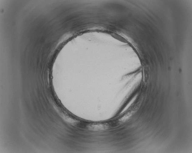 X0000067910253200605111950