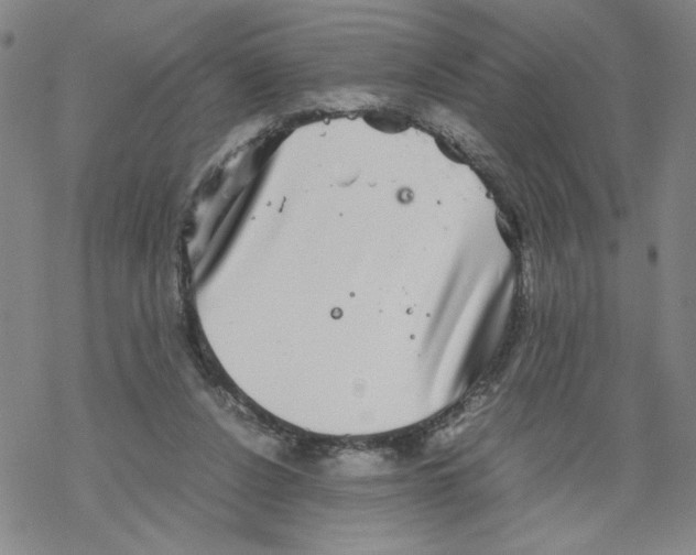 X0000067910256200605111950