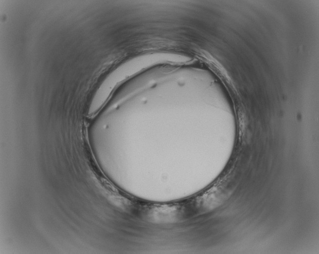 X0000067910257200605111950