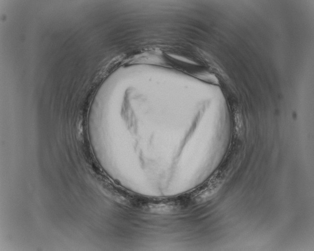 X0000067910259200605111950