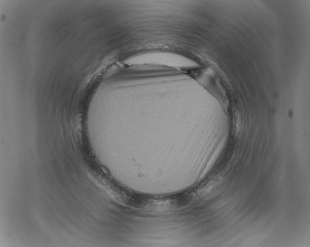 X0000067910260200605111950