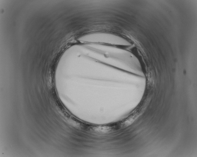 X0000067910261200605111950