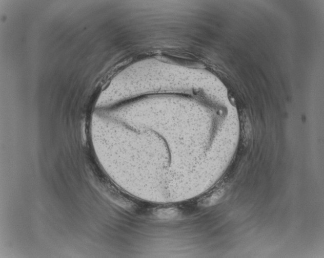 X0000067910262200605111950