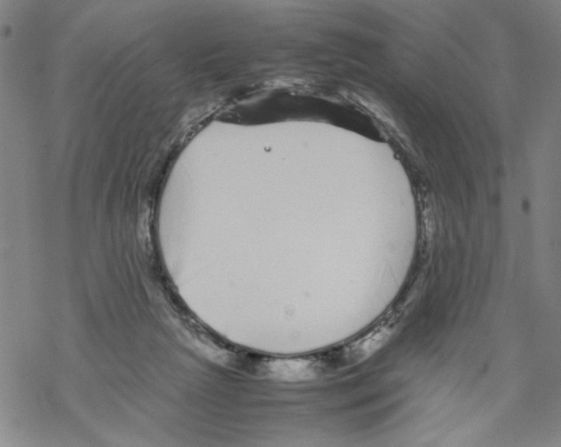 X0000067910265200605111950