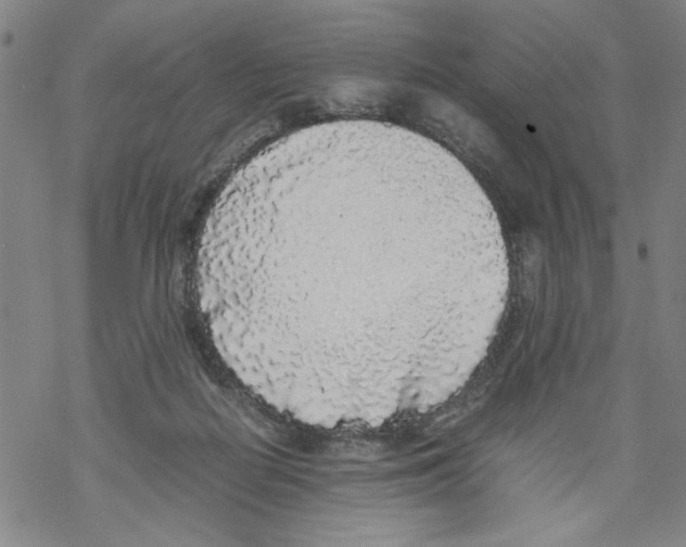 X0000067910266200605111950