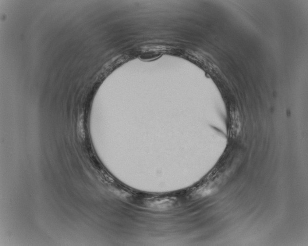 X0000067910267200605111950