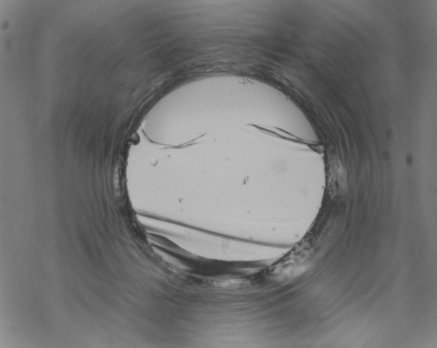 X0000067910268200605111950