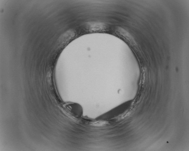 X0000067910269200605111950