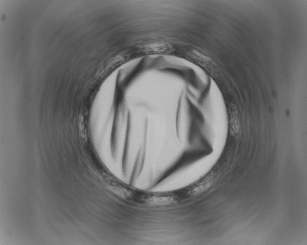 X0000067910270200605111950