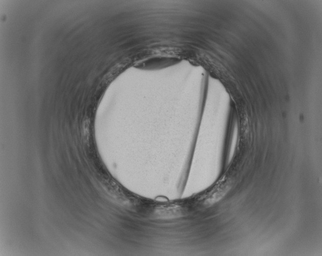 X0000067910271200605111950