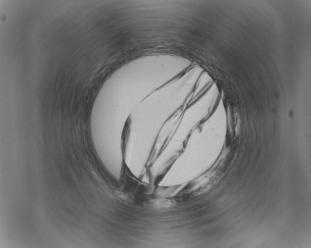 X0000067910272200605111950