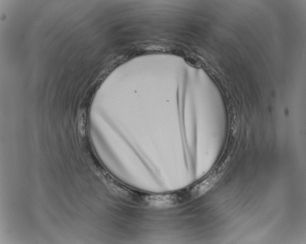 X0000067910273200605111950