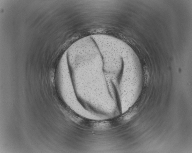 X0000067910274200605111950