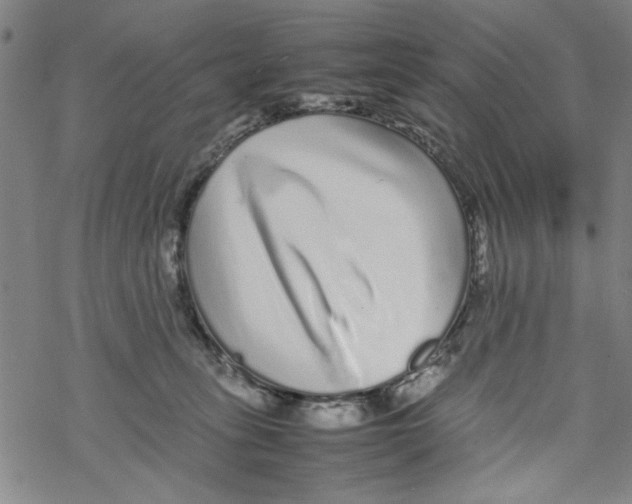 X0000067910275200605111950