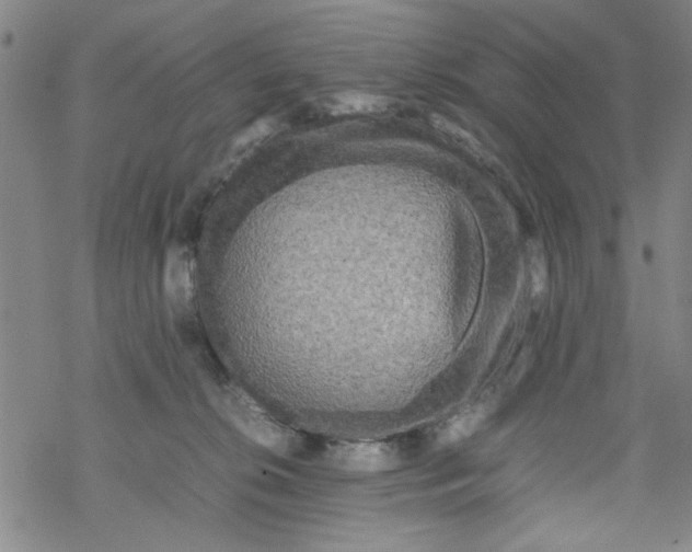 X0000067910276200605111950