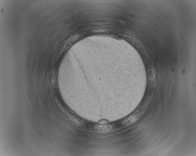 X0000067910277200605111950