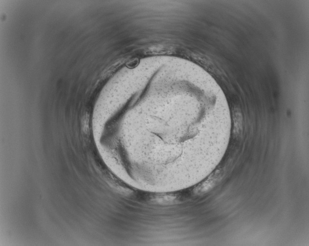 X0000067910278200605111950