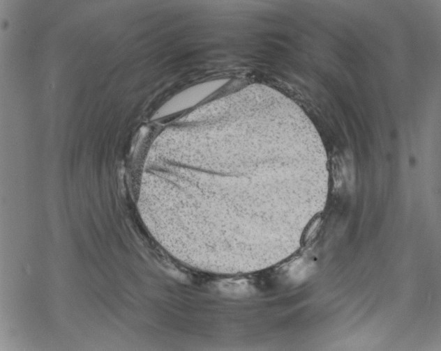 X0000067910279200605111950