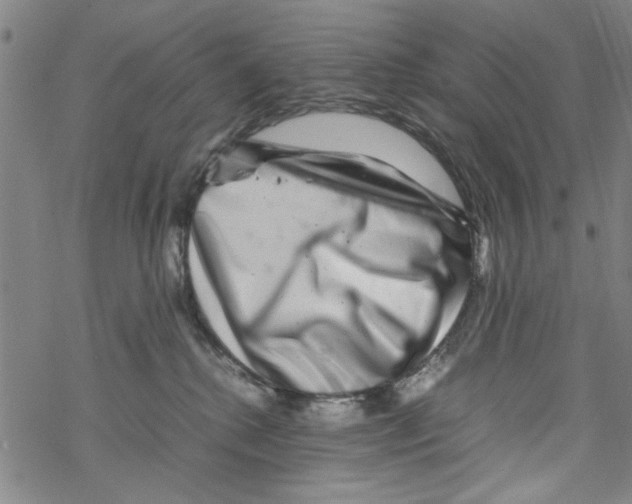 X0000067910280200605111950