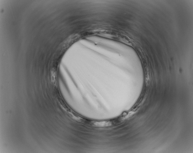 X0000067910281200605111950