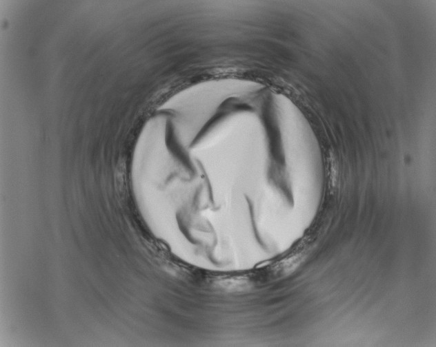 X0000067910283200605111950