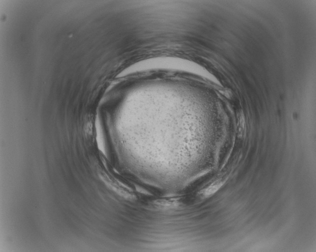 X0000067910284200605111950