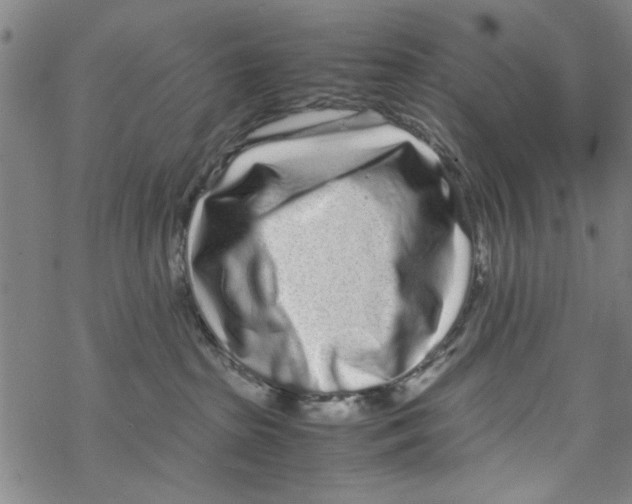 X0000067910285200605111950