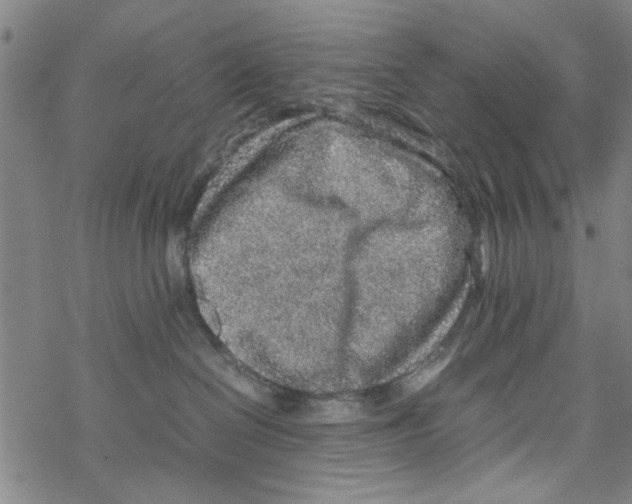 X0000067910286200605111950