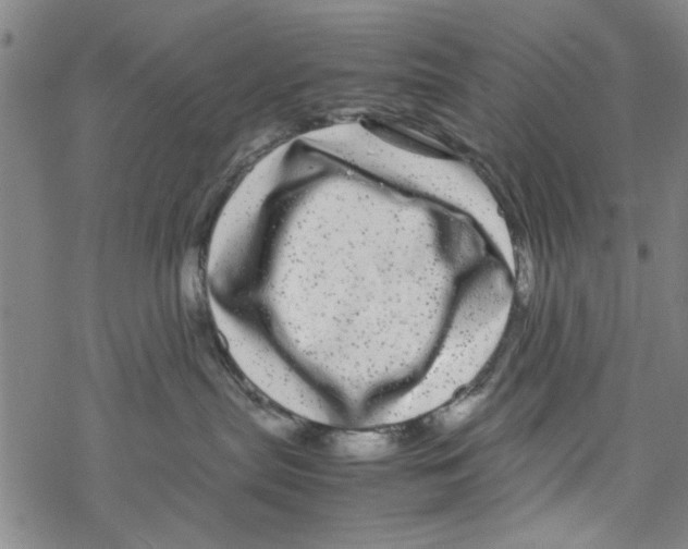 X0000067910287200605111950