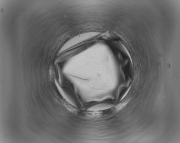 X0000067910288200605111950