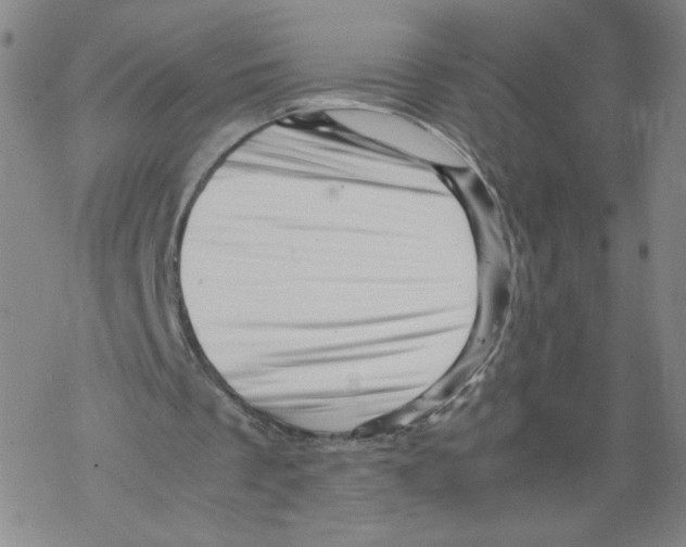 X0000067910289200605111950