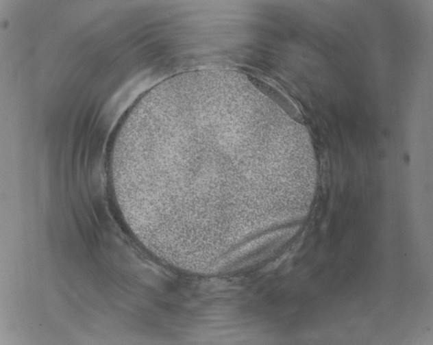 X0000067910290200605111950