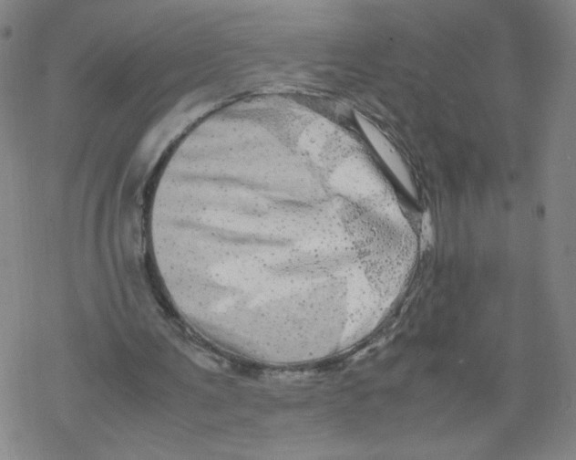 X0000067910291200605111950